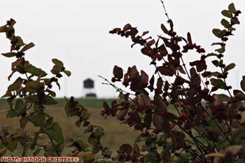IMG_ (10770)